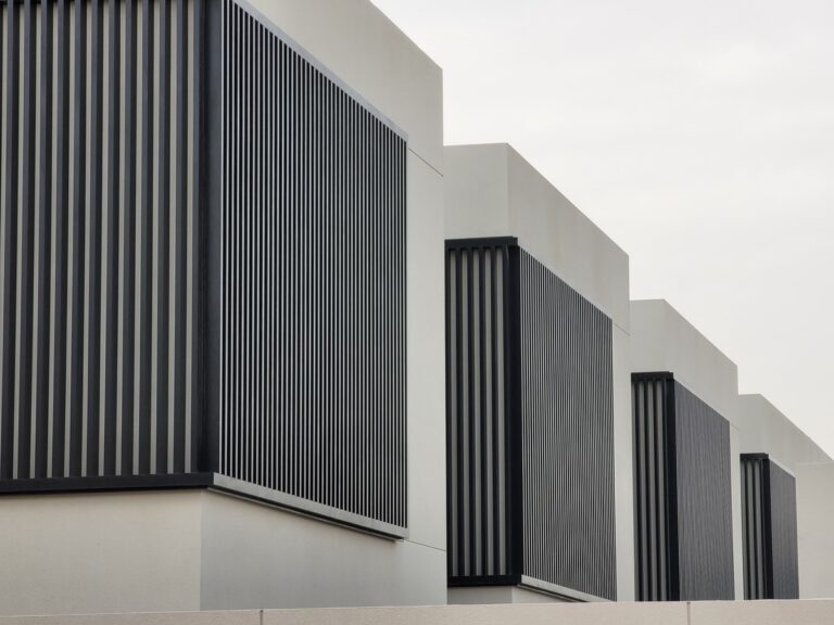 WhatsApp Image 2024-09-25 at 9.47.47 AM (1)